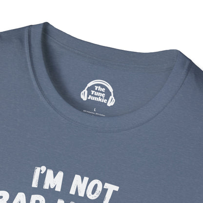 I'm Not A Bad Musician. I Just Have My Own Pitch