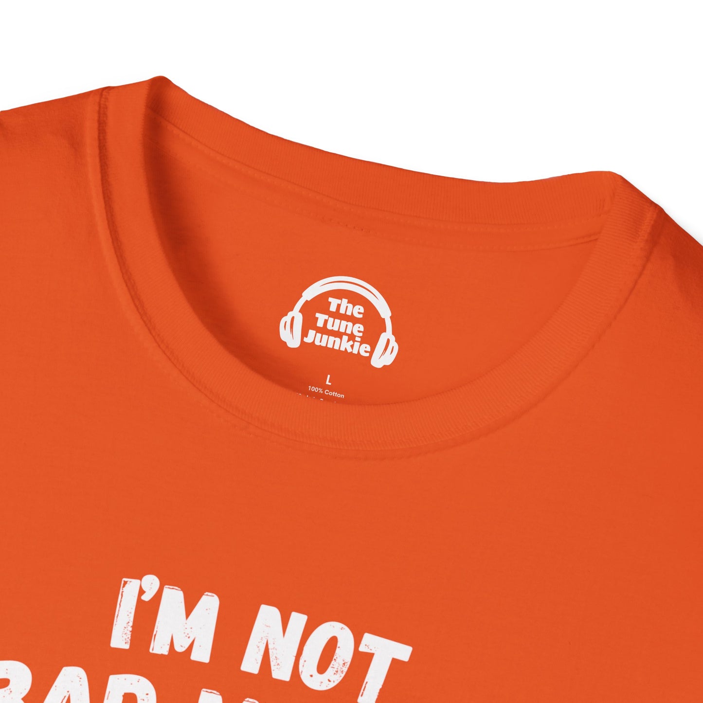 I'm Not A Bad Musician. I Just Have My Own Pitch