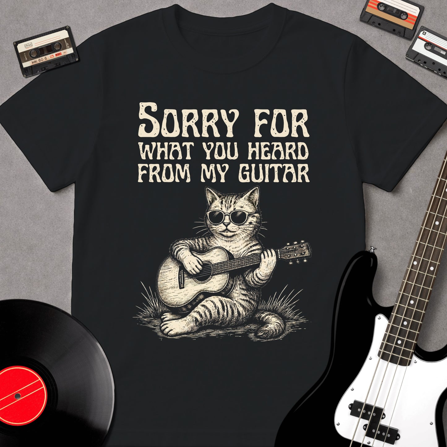 Sorry For What You Heard From My Guitar