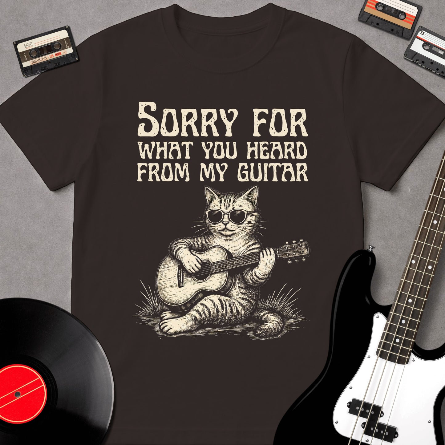 Sorry For What You Heard From My Guitar