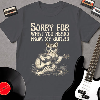 Sorry For What You Heard From My Guitar