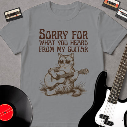 Sorry For What You Heard From My Guitar