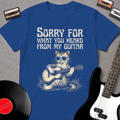 Sorry For What You Heard From My Guitar