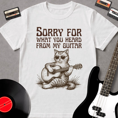 Sorry For What You Heard From My Guitar